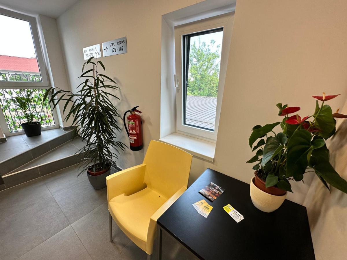 Villa Magdalena Apartments & Rooms Maribor Extérieur photo