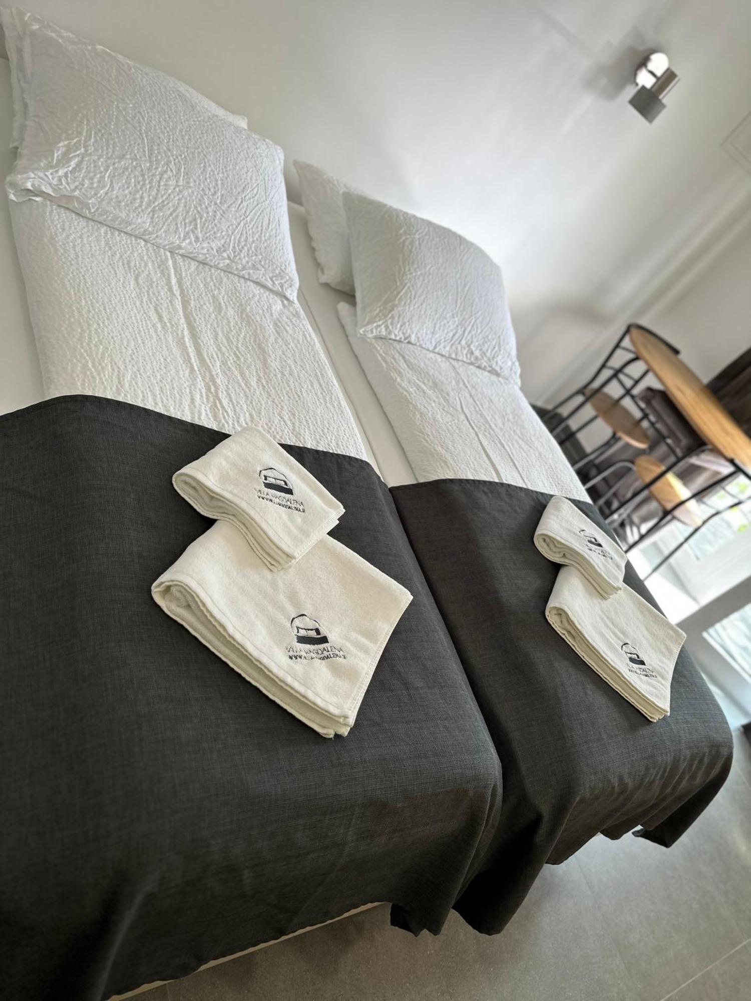 Villa Magdalena Apartments & Rooms Maribor Extérieur photo